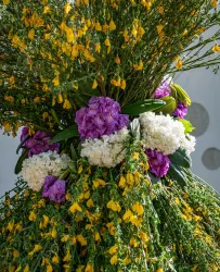 Pfingstquack_Ludwigswinkel