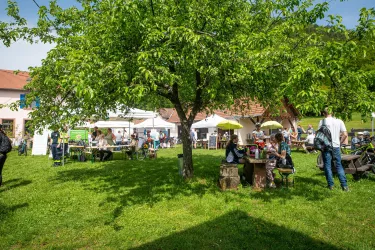 Dt.-franz. Radfest 6 (© Südwestpfalz Touristik e.V.)