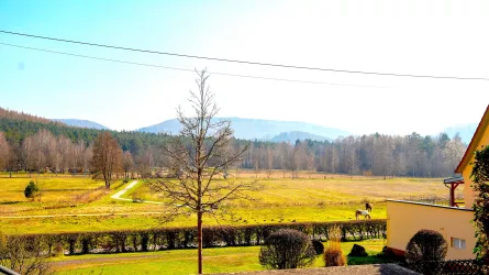 Blick in die Talauen