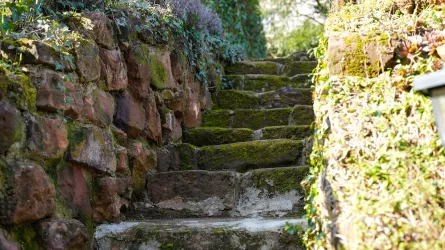 Sandsteintreppe zum Garten
