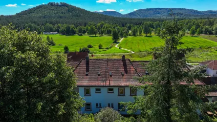 Blick in die Talauen