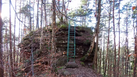 Horbachkanzel bei Ludwigswinkel (© Sebald Liesenfeld)