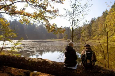 Zwei Personen sitzen auf einem Baumstamm am Ufer eines ruhigen Sees. Die Umgebung ist von buntem Laub und Bäumen umgeben, was eine friedliche Herbstatmosphäre schafft.
