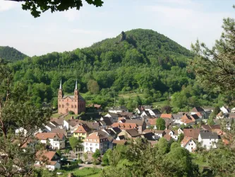 Blick auf Wilgartswiesen
