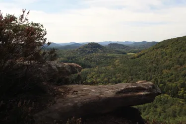 Blick vom Rötzenberg