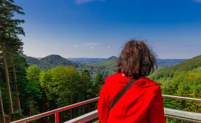 Ausblick vom barrierefreien Aussichtspunkt