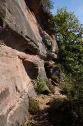Eine Felswand mit grünem Bewuchs und einem schmalen Pfad im Vordergrund. Die Landschaft ist sonnig und zeigt natürliche Felsformationen.