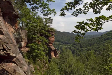 Eine felsige Landschaft mit Bäumen und sanften Hügeln im Hintergrund. Der Himmel ist teilweise bewölkt, was eine ruhige Atmosphäre schafft.