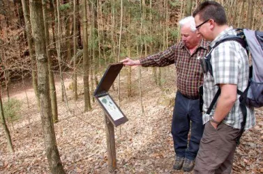 Im Schulwald (© Sonja Spieß)