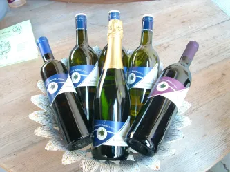Weine vom Weingut Amselhof