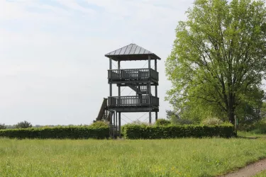 Heltersberg Aussichtsturm (© Touristikbüro Holzland/Sickinger Höhe)