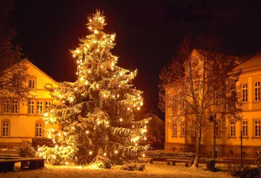Ein prächtiger Weihnachtsbaum mit Lichtern steht in einem verschneiten Innenhof. Die Gebäude im Hintergrund sind stimmungsvoll beleuchtet.