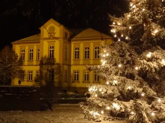 Ein schönes, beleuchtetes Gebäude bei Nacht, umgeben von schneebedeckten Bäumen. Ein festlich geschmückter Weihnachtsbaum steht im Vordergrund.