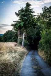 Weg von Niederalben zum Mittagsfels