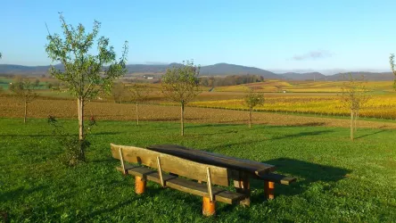 In freier Natur zwischen Äckern und Reben (© www.eichenhof-pfalz.de)