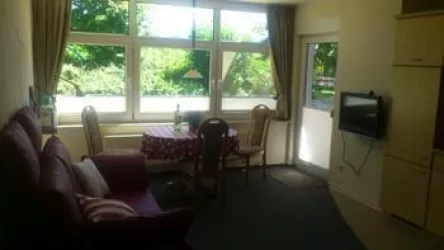 Sofa, TV