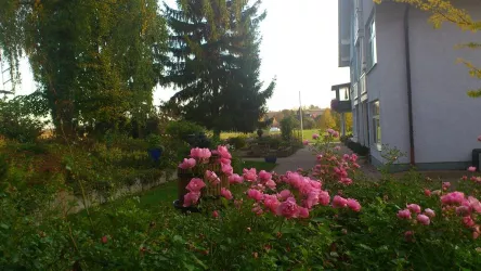 Von viel Grün umgeben (© www.eichenhof-pfalz.de)