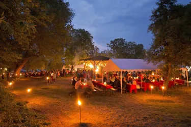 Eine festliche Veranstaltung im Freien mit vielen Gästen unter Bäumen. Tische und Stühle sind dekoriert, und warme Lichter sorgen für eine einladende Atmosphäre.