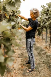 Weingut Schowalter - Bei der Arbeit2