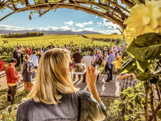 Eine Gruppe von Menschen steht in einem Weinberg. Eine Frau mit einem Glas Wein betrachtet die Umgebung unter einem blauen Himmel.