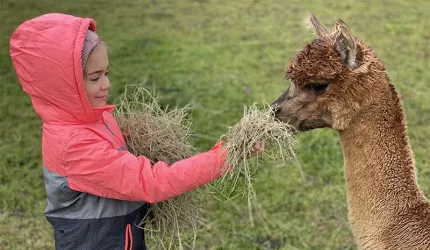 Kindergeburtstag