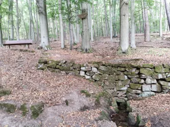 Joppenholz Quelle