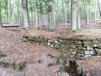Hier ist die steinerne Mauer der Joppenholzquelle zu sehen. Sie befindet sich in einem Wald mit vielen Bäumen. Im Hintergrund befindet sich eine Bank aus Holz.