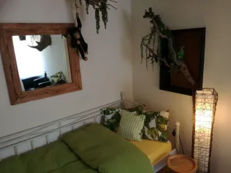 Einzelzimmer 2. OG/Durchgangszimmer