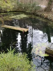 Fischweiher