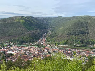 Blick auf Lambrecht (Pfalz)