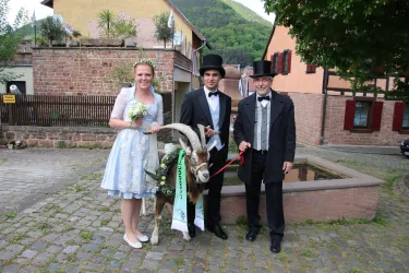Geißbock-Brautpaar