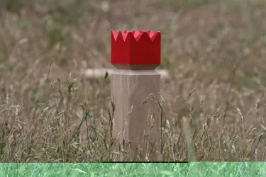 Ein Holzpfeiler mit einer roten Krone steht im Gras. Die Krone hat eine gezackte Oberkante. Dies ist ein Spielelement vom Wikingerschach.