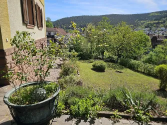 Ein schöner Garten mit grünen Pflanzen und Bäumen. Im Hintergrund sind sanfte Hügel zu sehen und der Himmel ist klar und blau.