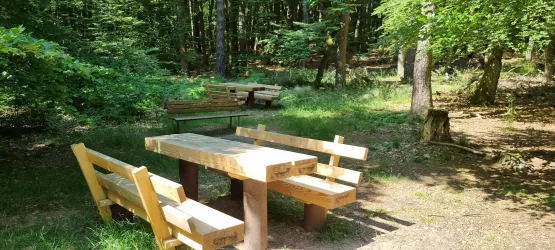 Ein schöner Sitzplatz aus Holz im Wald mit einem Tisch und Bänken. Die Umgebung ist grün und einladend.