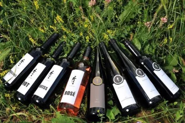 Bioweingut Reinhart - Die Weine