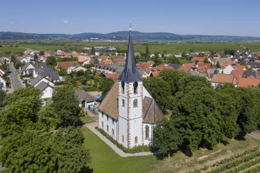 Friedelsheim (© Simon Stobbe)