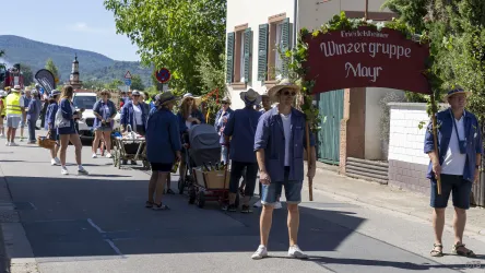Eine festliche Parade mit Menschen in traditionellen Kleidern, die eine Fahne mit der Aufschrift "Winzergruppe Mai" tragen. Im Hintergrund sind Bäume und Häuser zu sehen.