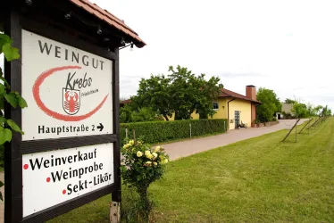 Straußwirtschaft3 (© TI Wachenheim)