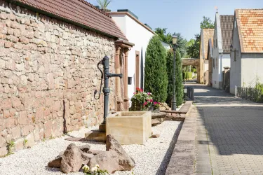 Friedelsheim 6 (© TI Wachenheim)