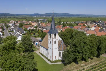 Friedelsheim (© Simon Stobbe)