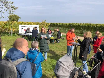 Eine Gruppe von Menschen steht in einem Weinberg und hört einer Präsentation zu. Einige Gäste halten Gläser in der Hand, während andere entspannt am Tisch stehen.