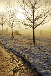 Ein winterlicher Landschaftsweg mit kahlen Bäumen. Im Hintergrund erhellt die Sonne die schneebedeckte Fläche.
