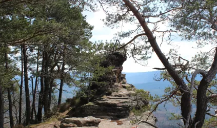 Rötzenfelsen (© S. Spieß)
