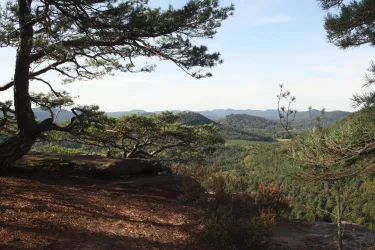 Blick vom Rötzenfelsen (© Thomas Funck)