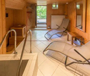 Saunaruheraum mit 2.Dusche, Tauchbecken