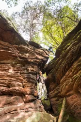 Felsenkluft am Dimberg (© Dominik Ketz)