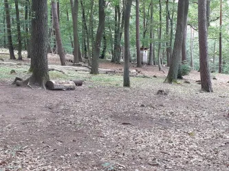 Überblick Trekkingplatz Ramsen