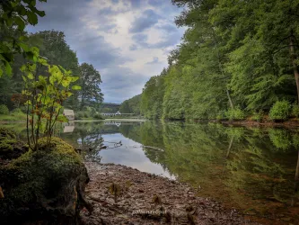Ein ruhiger Fluss mit angeordnetem Ufer und dichten Bäumen. Der Himmel ist bewölkt und spiegelt sich im Wasser.
