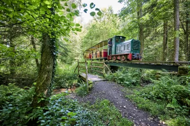 Stumpfwaldbahn (© Donnersberg-Touristik-Verband e.V., Florian Trykwoski)