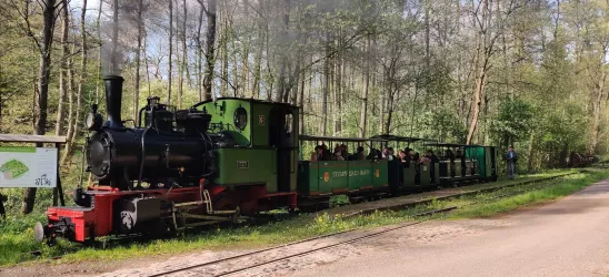 Stumpfwaldbahn 1